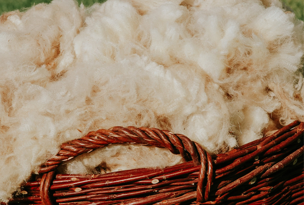 seasonal befenfits of merino wool for babies